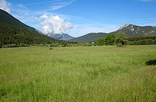 Le parc naturel régional des Préalpes d’Azur