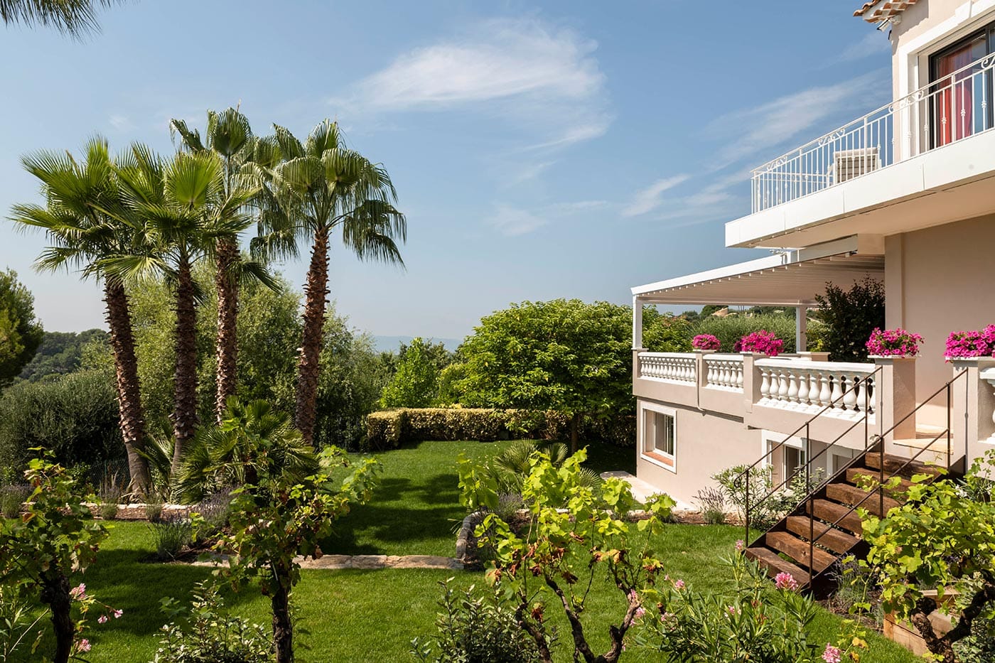 The balcony and the palm trees