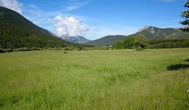 The Pre-Alps regional natural park